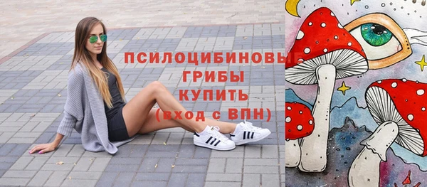 гидропоника Богородицк