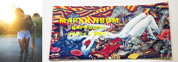 гидропоника Богородицк