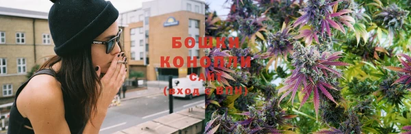 гидропоника Богородицк