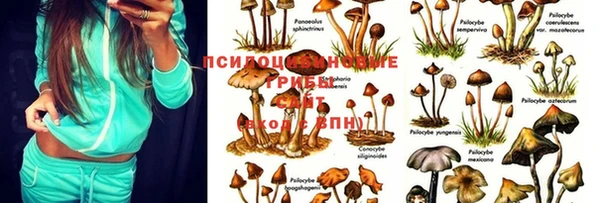 гидропоника Богородицк