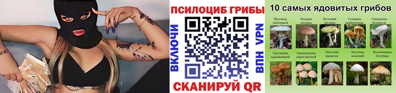 Псилоцибиновые грибы прущие грибы  Купить  Россошь 